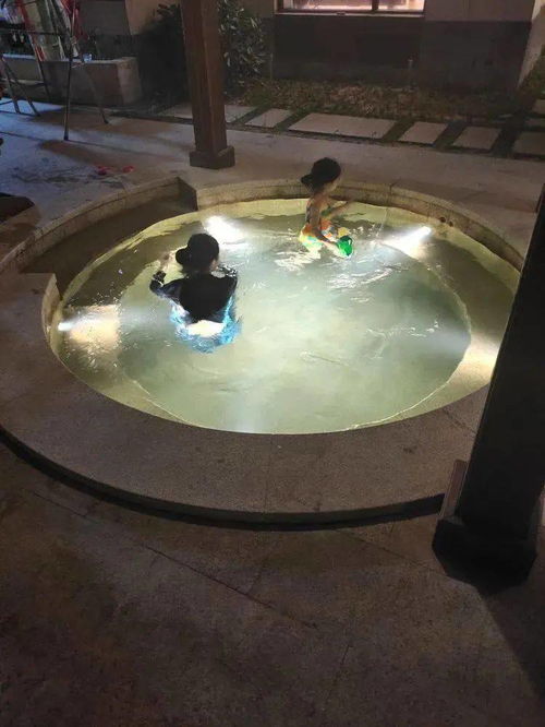 佛岡熹樂谷湯塘私家溫泉泳池別墅 聚會玩樂的天堂